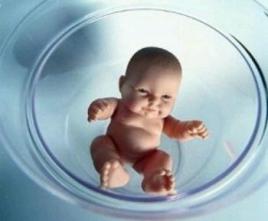 胚胎实验室